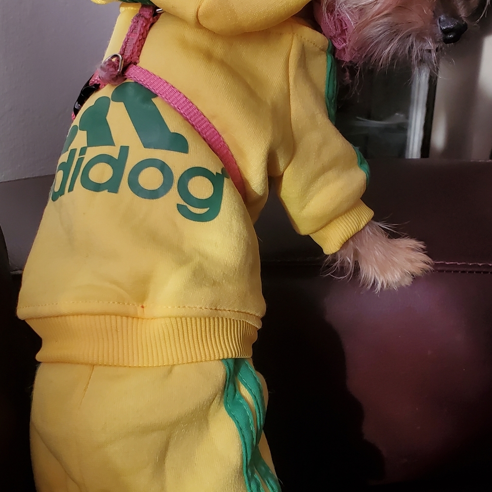 Adidog jogger